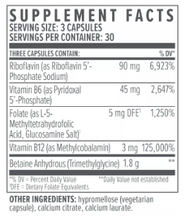 Load image into Gallery viewer, BioTE Methyl Factors+